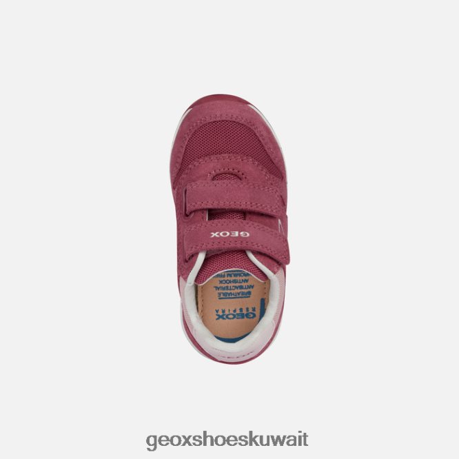 Geox BLL84T1515 Alben Toddler Fuchsia/Pink