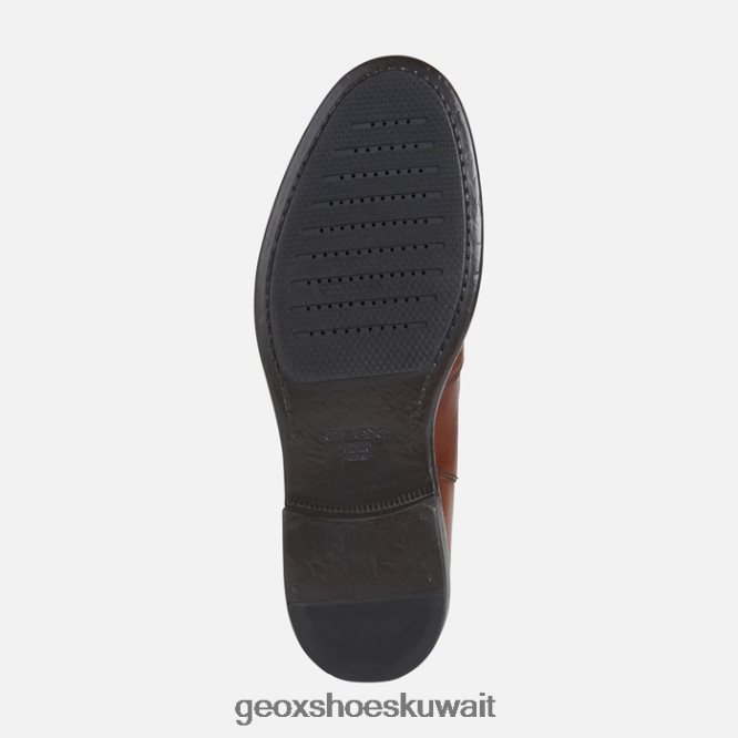 Geox BLL84T918 Terence Man Brown Cotto