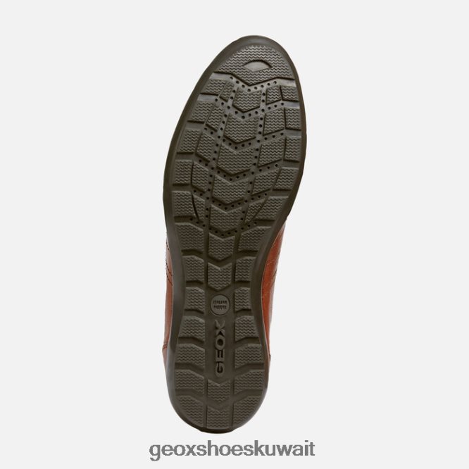 Geox BLL84T1807 Symbol Man Brown Cotto