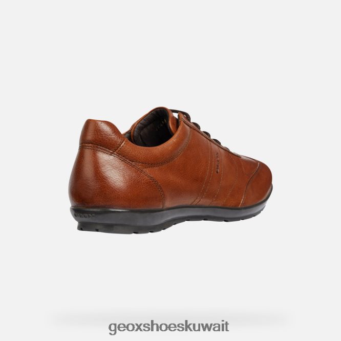 Geox BLL84T1851 Symbol Man Brown Cotto