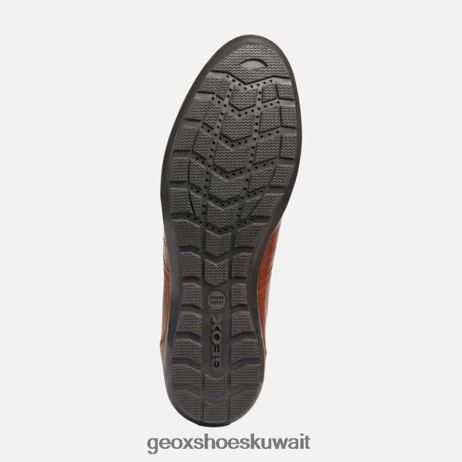 Geox BLL84T1851 Symbol Man Brown Cotto