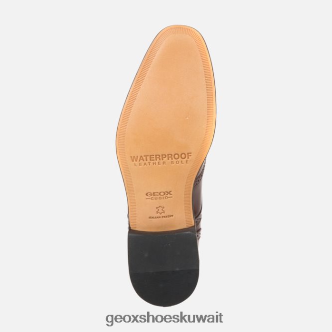 Geox BLL84T910 Saymore Man Ebony