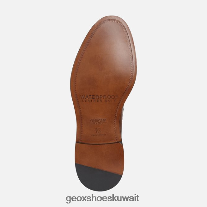 Geox BLL84T1834 Artenova Man Cognac