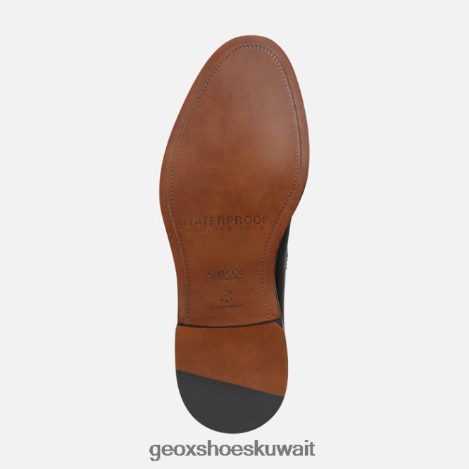 Geox BLL84T1835 Artenova Man Black