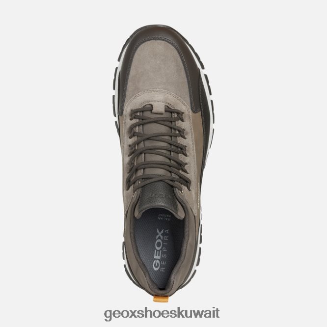 Geox BLL84T961 Delray Man Dark Coffee/Dove Grey