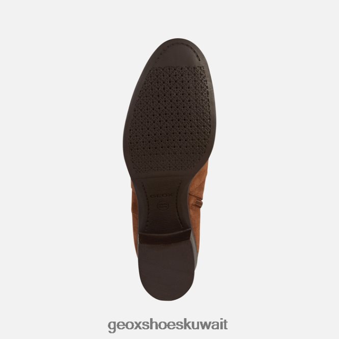 Geox BLL84T346 New Asheel Woman Brown
