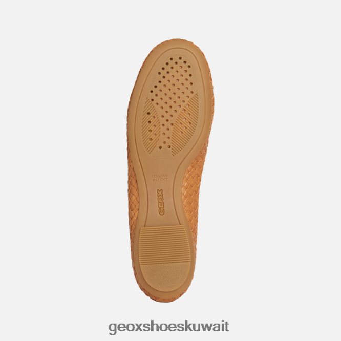Geox BLL84T197 Palmaria Woman Brown