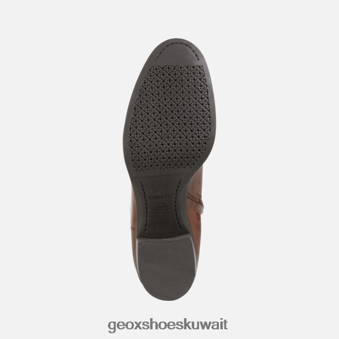 Geox BLL84T607 New Asheel Woman Brown