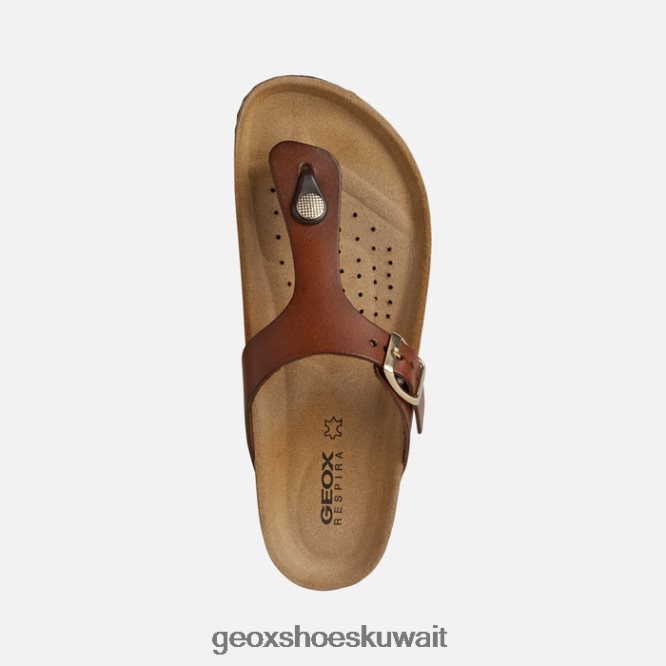 Geox BLL84T494 Brionia Woman Brown